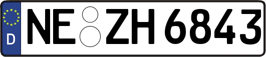 NE-ZH6843