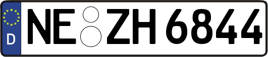 NE-ZH6844