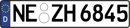 NE-ZH6845