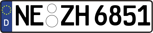 NE-ZH6851