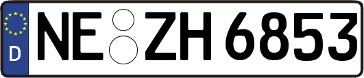 NE-ZH6853