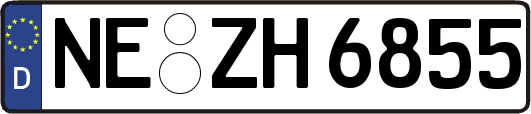 NE-ZH6855