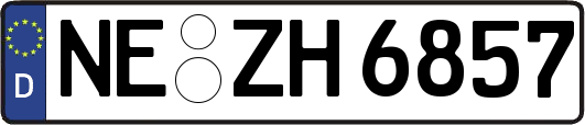 NE-ZH6857