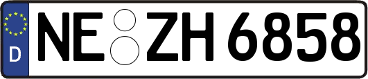 NE-ZH6858