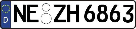 NE-ZH6863