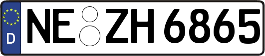 NE-ZH6865