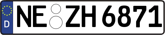 NE-ZH6871