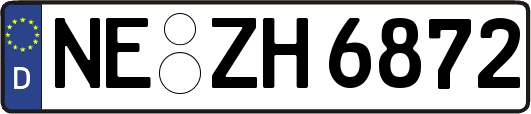 NE-ZH6872