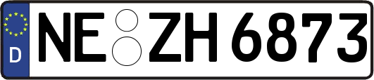 NE-ZH6873