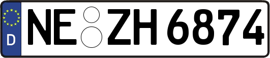 NE-ZH6874