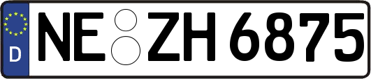 NE-ZH6875