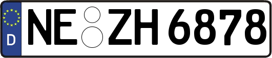 NE-ZH6878