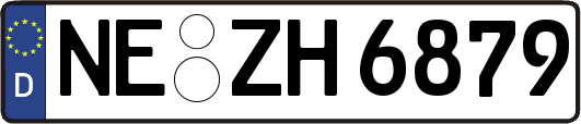 NE-ZH6879