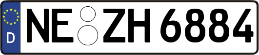 NE-ZH6884
