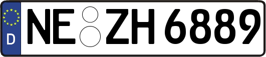 NE-ZH6889
