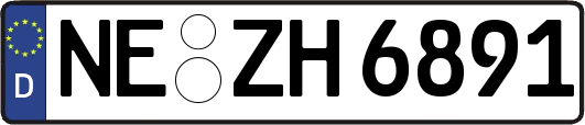 NE-ZH6891