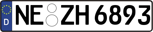 NE-ZH6893