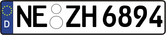 NE-ZH6894