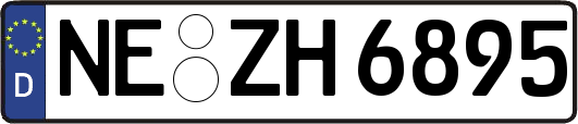 NE-ZH6895