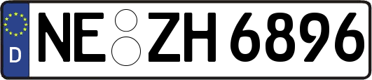NE-ZH6896