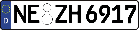 NE-ZH6917