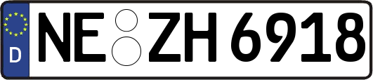 NE-ZH6918