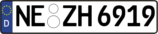NE-ZH6919