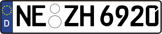 NE-ZH6920