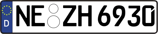 NE-ZH6930