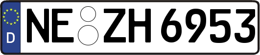 NE-ZH6953
