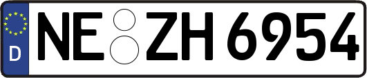 NE-ZH6954