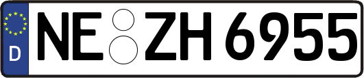 NE-ZH6955