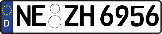 NE-ZH6956