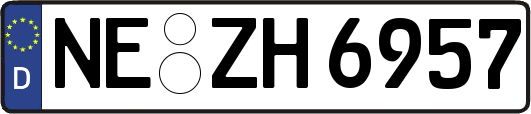 NE-ZH6957