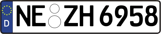 NE-ZH6958