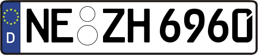 NE-ZH6960
