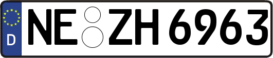 NE-ZH6963
