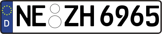 NE-ZH6965