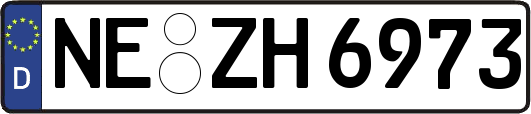 NE-ZH6973