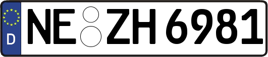 NE-ZH6981