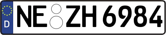 NE-ZH6984