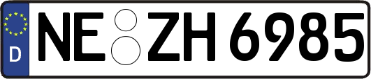 NE-ZH6985