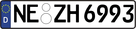 NE-ZH6993
