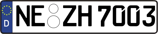 NE-ZH7003