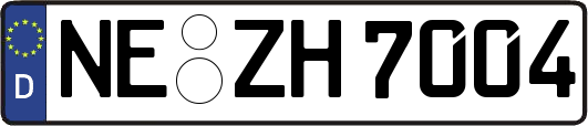 NE-ZH7004