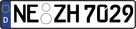 NE-ZH7029