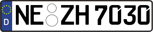 NE-ZH7030