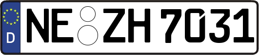 NE-ZH7031
