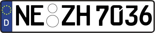 NE-ZH7036