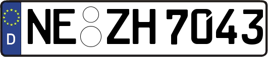 NE-ZH7043